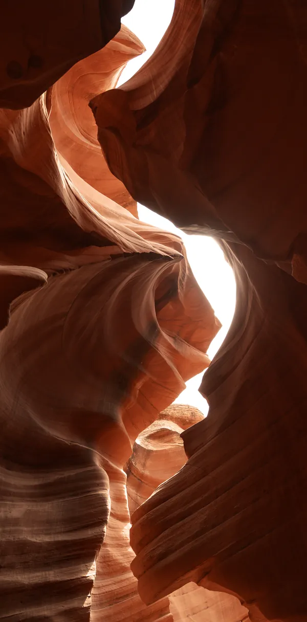 Light falling through the curved sandstone walls of a slot canyon.